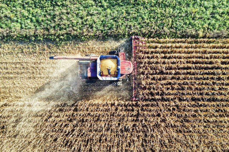 Equipamento agrícola sendo usado na lavoura, representando a agropecuária.