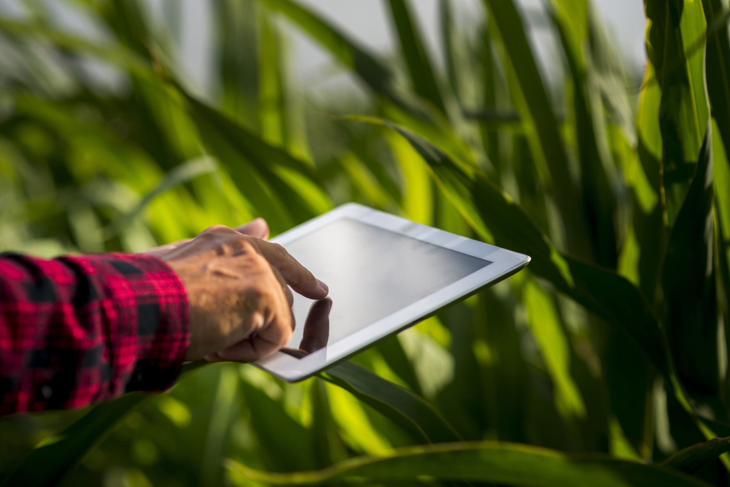 Produtor rural na sua lavoura, usando um tablet para emitir nota fiscal produtor rural RS
