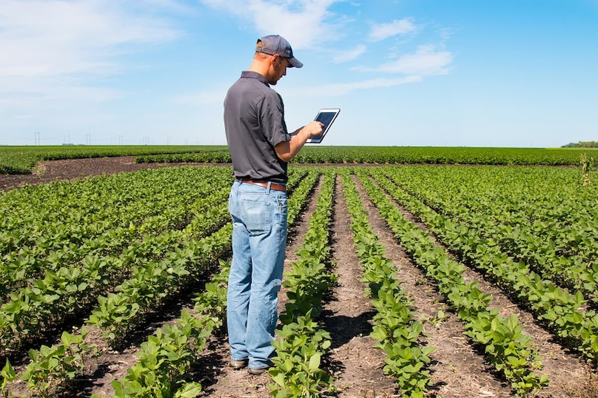 Homem com boné e camisa escura utiliza um tablet em meio a uma plantação emitindo nota fiscal de devolução pelo Aegro.