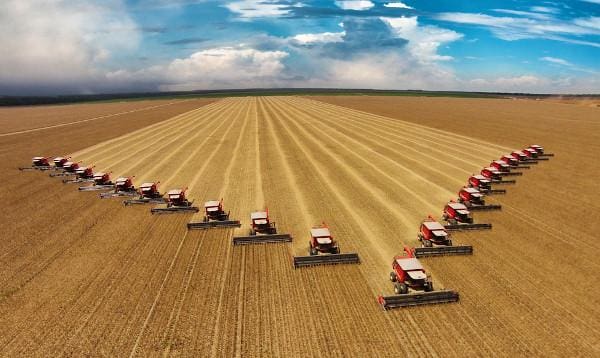 Grande plantação sendo colhida por várias colheitadeiras vermelhas alinhadas em formato de "V", envolvendo o cultivo de alimentos transgênicos.