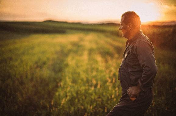 Agricultor de perfil em uma lavoura ao pôr do sol, com semblante pensativo olhando para o horizonte
